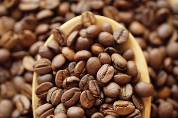 Roasted coffee beans on a wooden spoon