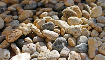 sea stones
