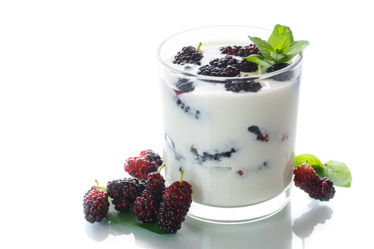 Sweet Greek yogurt with mulberry berries