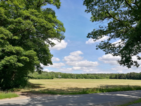 Sennelandschaft im Sommer bei blauem Himmel und Sonnenschein am Hellweg zwischen Bielefeld und Oerlinghausen in Lipperreihe am Teutoburger Wald in Ostwestfalen-Lippe