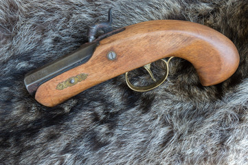 An old style black powder pistol displayed on top of a raccoon hide