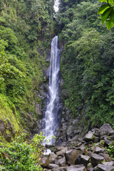 Trafalgar Falls, Morne Trois Pitons National Park (UNESCO Heritage Site), Dominica. Lesser Antilles