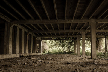 Abandoned building interior in the jungle forest. Dark grunge image. Abandoned place. Building concrete skeleton.