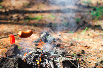 The sausage on the skewer is fried at the stake in the forest. Picnic in nature.