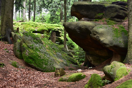 Nature reserve Pulcinske skaly in Beskydy mountains,Czech republic