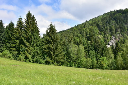 Nature reserve Pulcinske skaly in Beskydy mountains,Czech republic