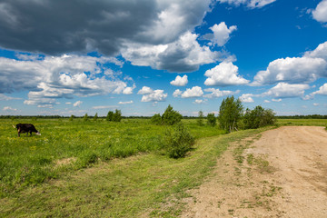 Fototapeta premium Kind of a traditional rural landscape in Russia on a summer day