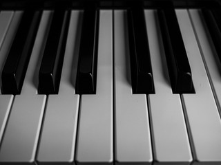 Ebony and Ivory Piano Keys
