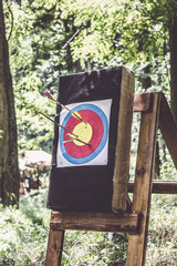 Archery arrows in the target