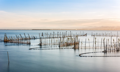 La Albufera de Valencia