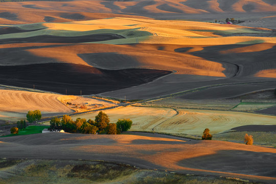 Sunset aerial view over Palouse Hills with farmland in autumn season.