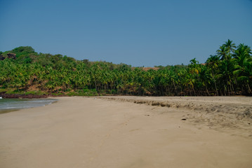 Hidden sand  beach with palms near Agonda beach, Goa state, India. No people
