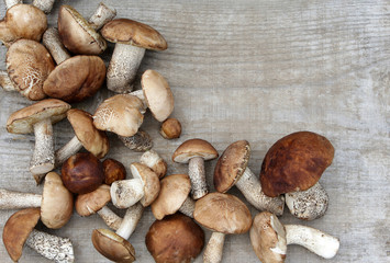 Scattered birch on the wood surface.