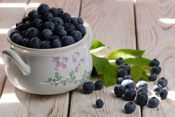 bilberry