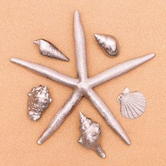 Starfish and seashells. Silver. Minimal art