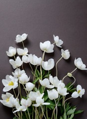 Fototapeta na wymiar Creative top view layout with White Anemone flowers on a black background. Minimalist background.