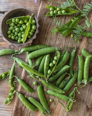 Fresh green peas right from a garden, topview
