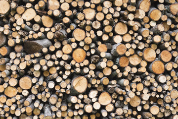 Firewood stacked