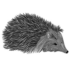 Silhouette of a vector hedgehog of beautiful patterns