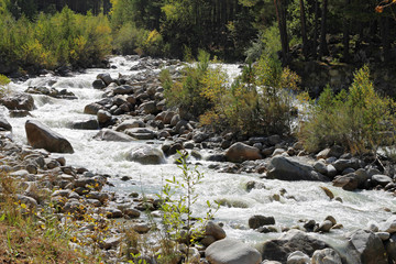 Wild mountain river flowing in the canyon