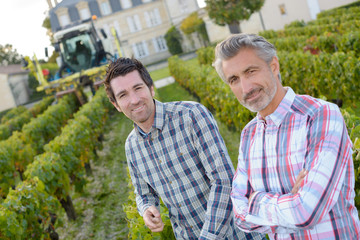 chateau with vineyards