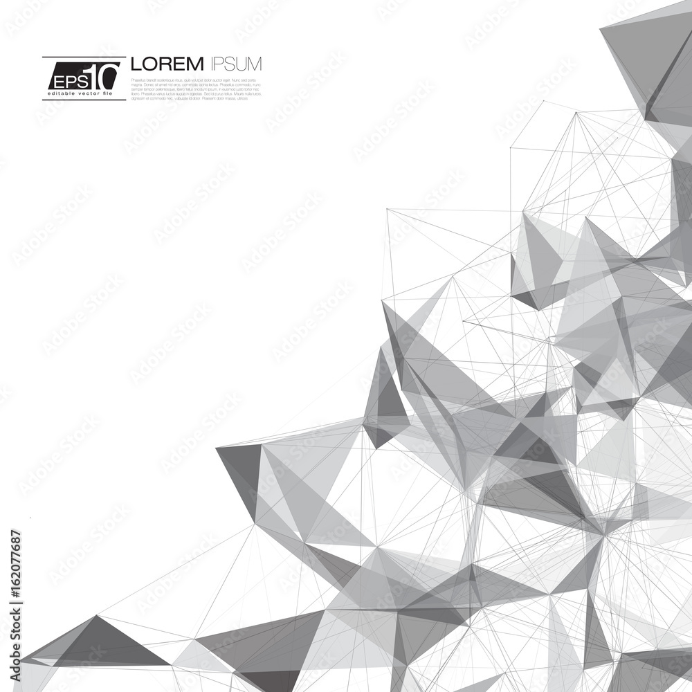 Poster black and white abstract network mesh vector background with text