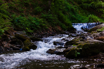 Naklejka premium Beautiful landscape rapids on a mountains river in sunlight. Filtered image: colorful effect.