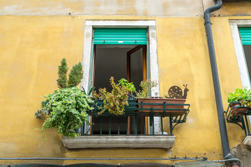 Fototapeta na wymiar green balcony