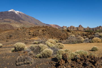 El Teide Tenerife with Bush