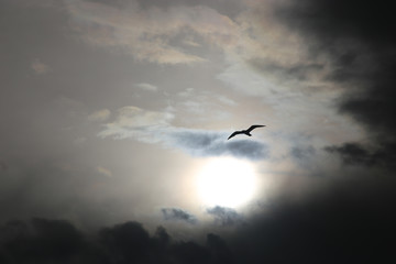 Greece Spiridakos Sailing Cruises