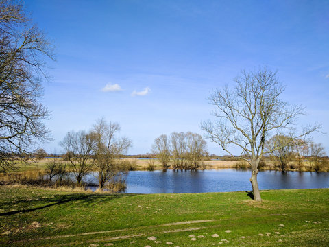 Nature in Bleckede on Elbe