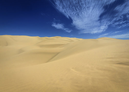 Vibrant San Dunes