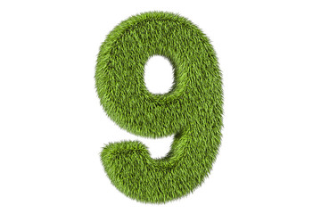 number 9 from grass, 3D rendering