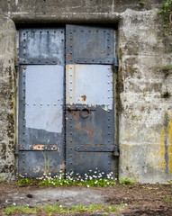 Old Door and Flowers, Fort Worden Bunkers, Washington