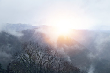 View through branches to deep misty valley within daybreak. Foggy and misty morning on the hilly view point. A foggy morning at the foot of a mountain