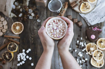Cup of cocoa in female hands