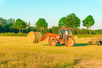 Obraz premium The tractor collects hay on the field