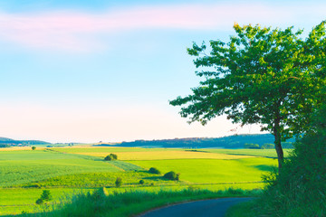 Road overlooking the fields