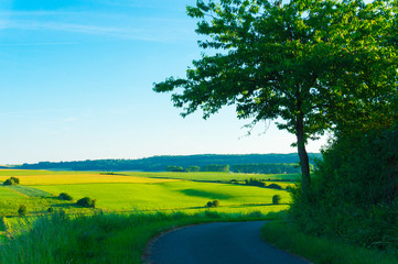 Road overlooking the fields
