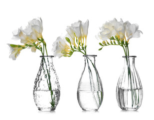 Glass vases with beautiful freesia on white background