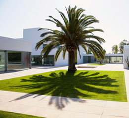 Beautiful Luxury Home with Swimming Pool