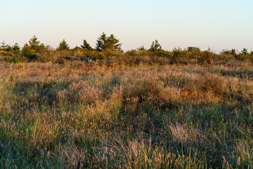 Fototapeta premium Pacific Ocean grasslands