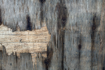  old weathered wood