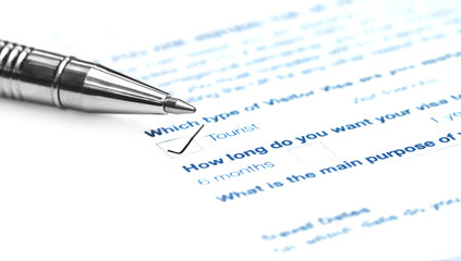 Visa application form details