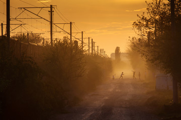 Fototapety na wymiar - Fototapeta24.pl