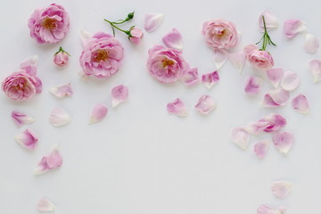 Frame from pink roses and petals on white background. top view. copy space