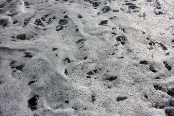Sea foam top view