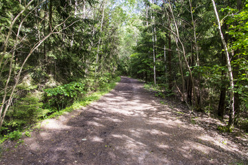 Disused Military Railroad