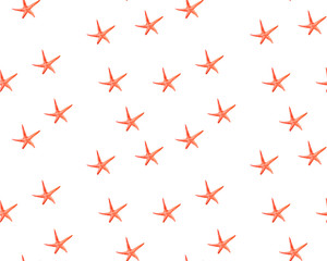 Watercolor drawing of a starfish