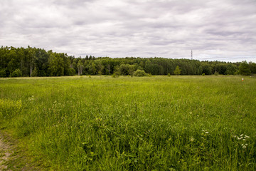 Obraz premium Nature reserve in Stockholm, Sweden